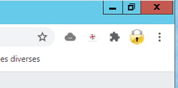 Browser Window Showing Pinned EveryonePrint Chrome Extension Icon