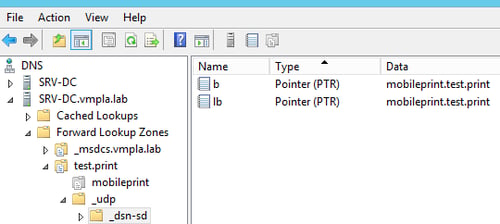 DNS Manager Interface Displaying PTR Records for Mobile Print Domain