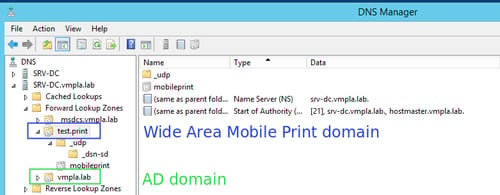DNS Manager Window Showing Wide Area Mobile Print Domain Configuration