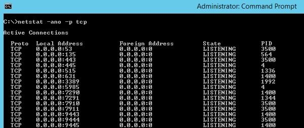 Netstat-Command-Prompt-Displaying-TCP-Connections-and-Listening-Ports