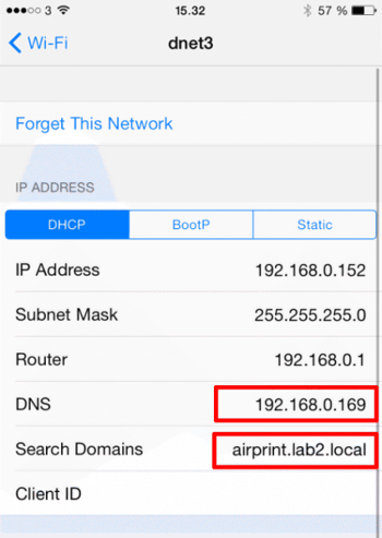 iOS Wi-Fi Settings Screen Displaying DNS and Search Domains Configuration